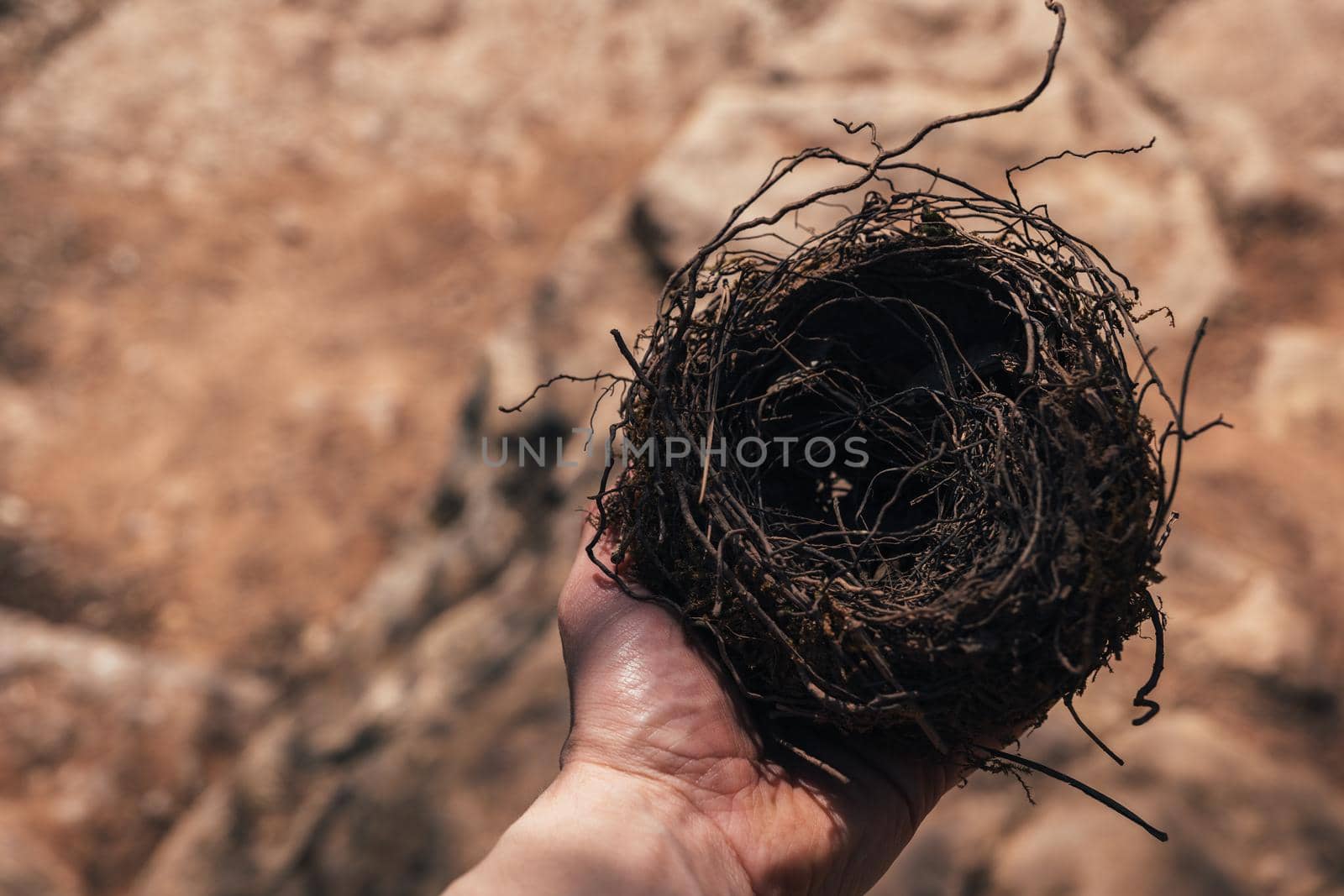 Male hand holding a fragile empty bird's nest, view from above on sunny day. Concept of empty nest syndrome with copy space by apavlin