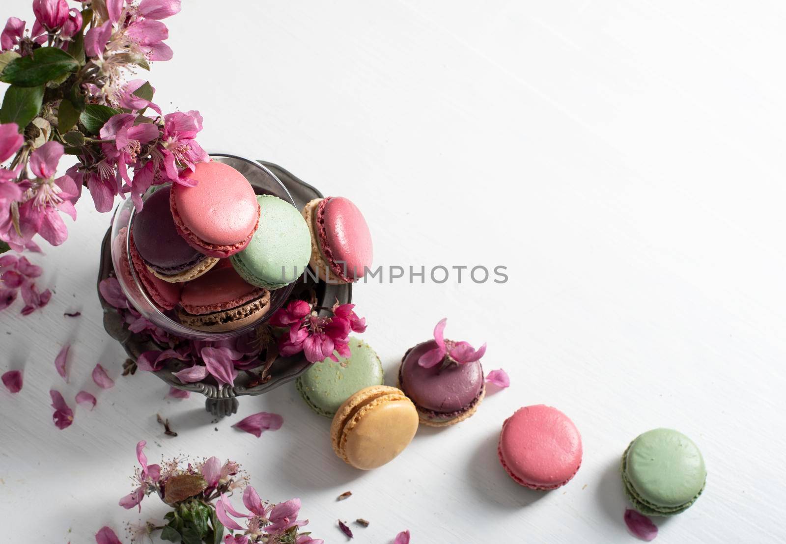 spring still life with colored macaroons and pink apple tree flowers in a pewter vase, colorful sweet food close up. High quality photo