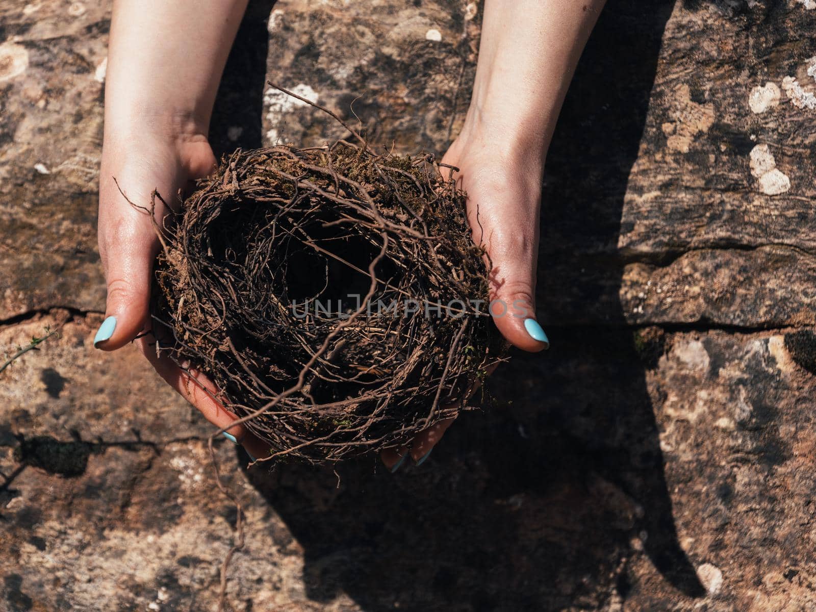 Female hands holding a fragile empty bird's nest, view from above on sunny day on stone background. Idea of empty nest syndrome. by apavlin