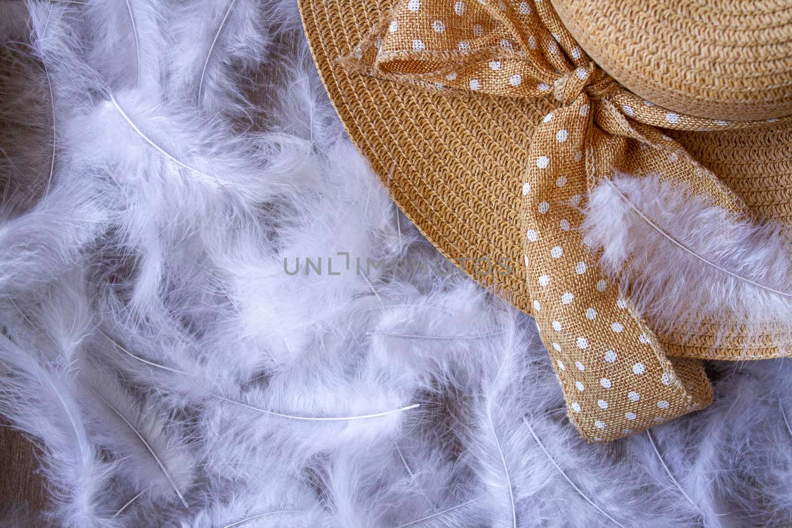 vintage women's hat on a background of white feathers top view.