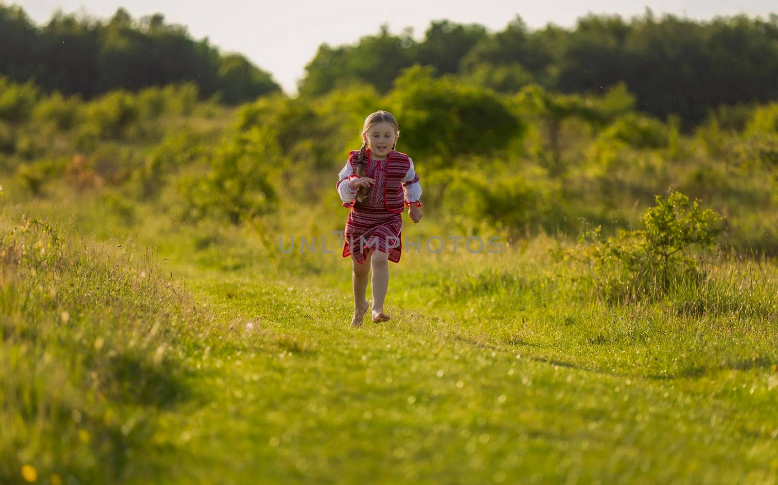 girl in a Ukrainian dress walks along the lawn in nature