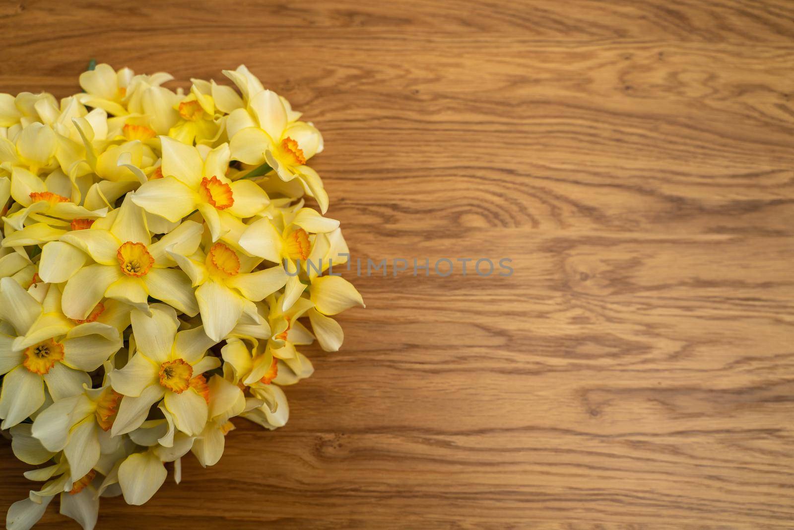 On the left is a large bouquet of yellow daffodils on an wooden background. Copy space. Can be used as a card, background for screensavers, greetings