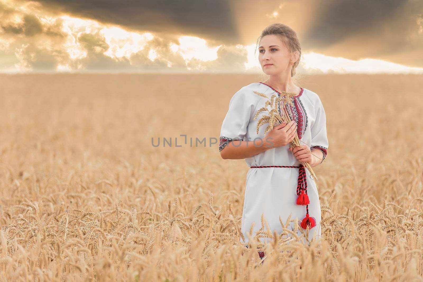 girl in Ukrainian national clothes in a wheat field at sunset