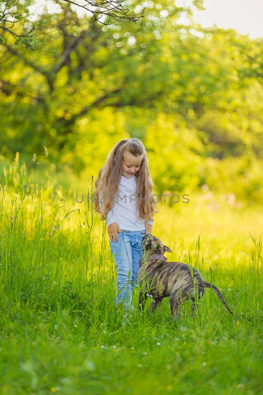 girl playing with a dog in nature