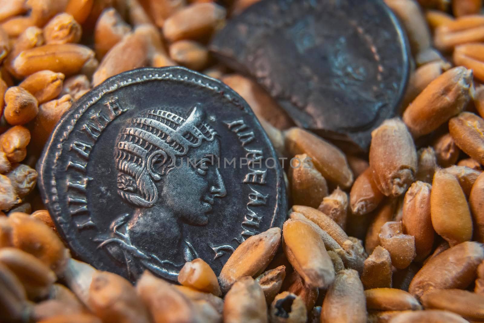 old coins lie on the grain close-up