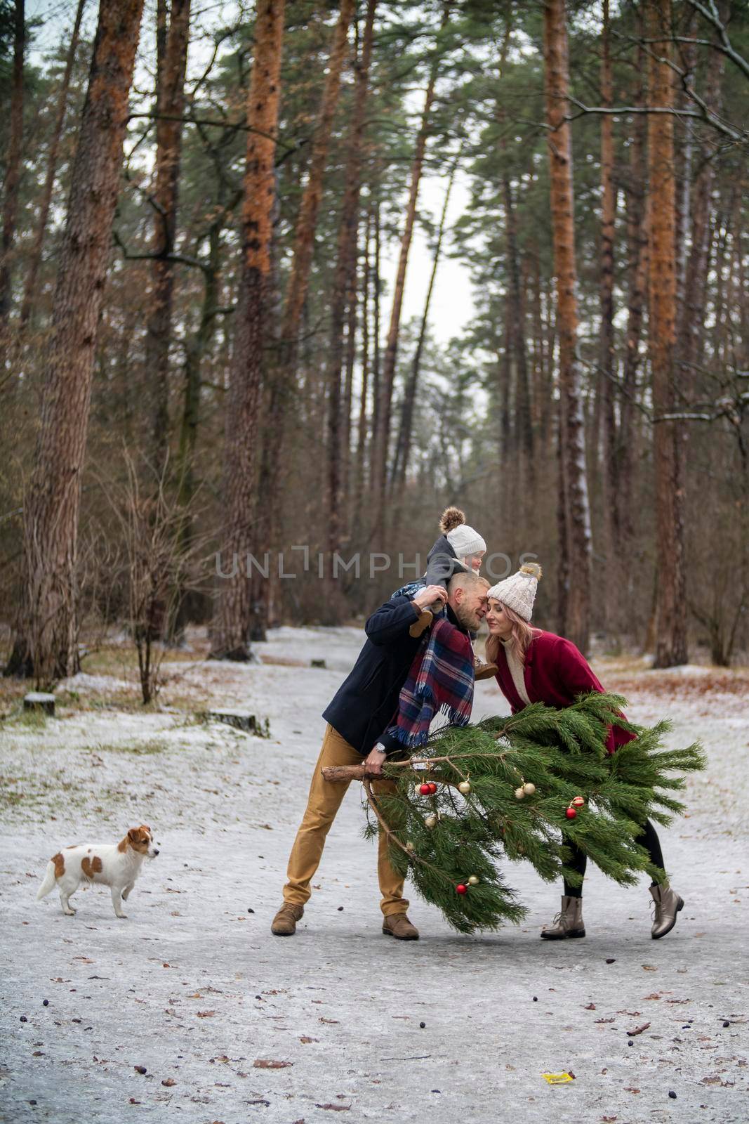 family carries christmas tree in winter park