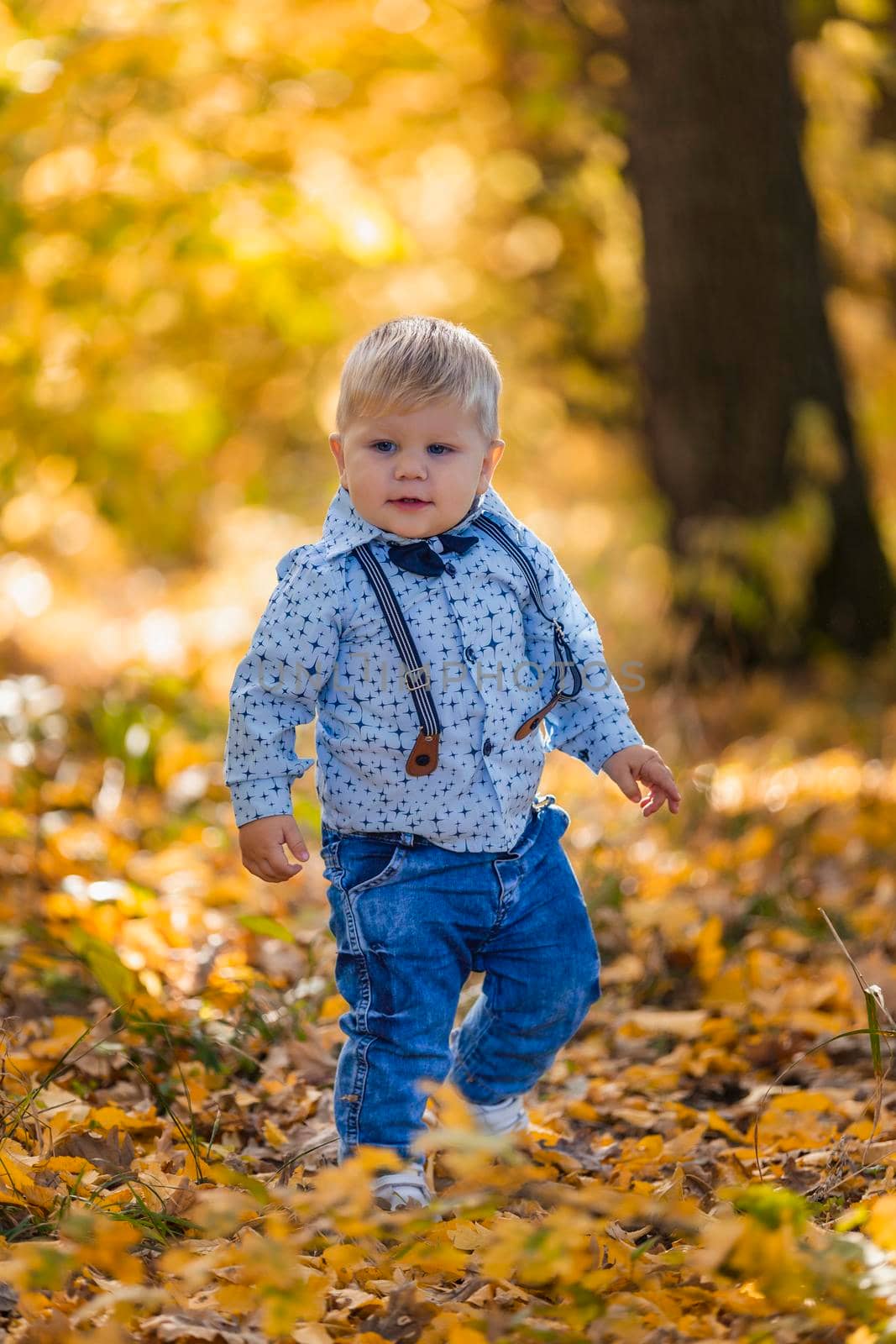 boy on the background of yellowed leaves in the forest