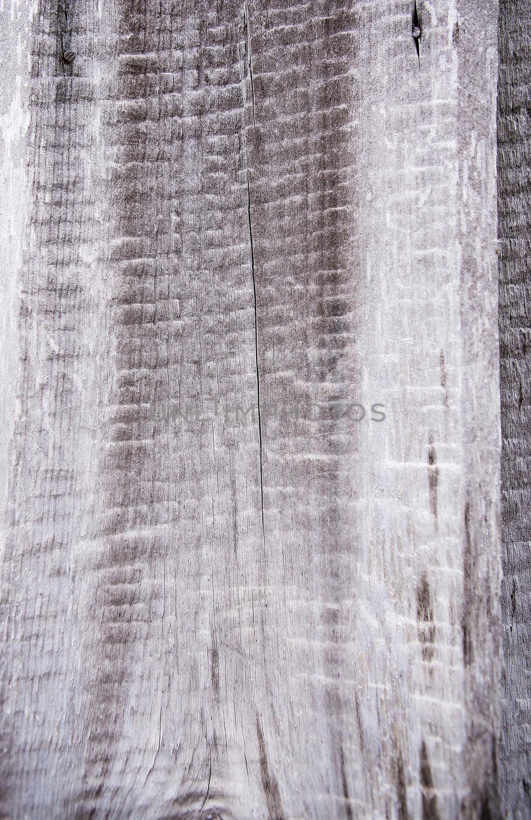 Very old wooden texture, carpentry close-up background
