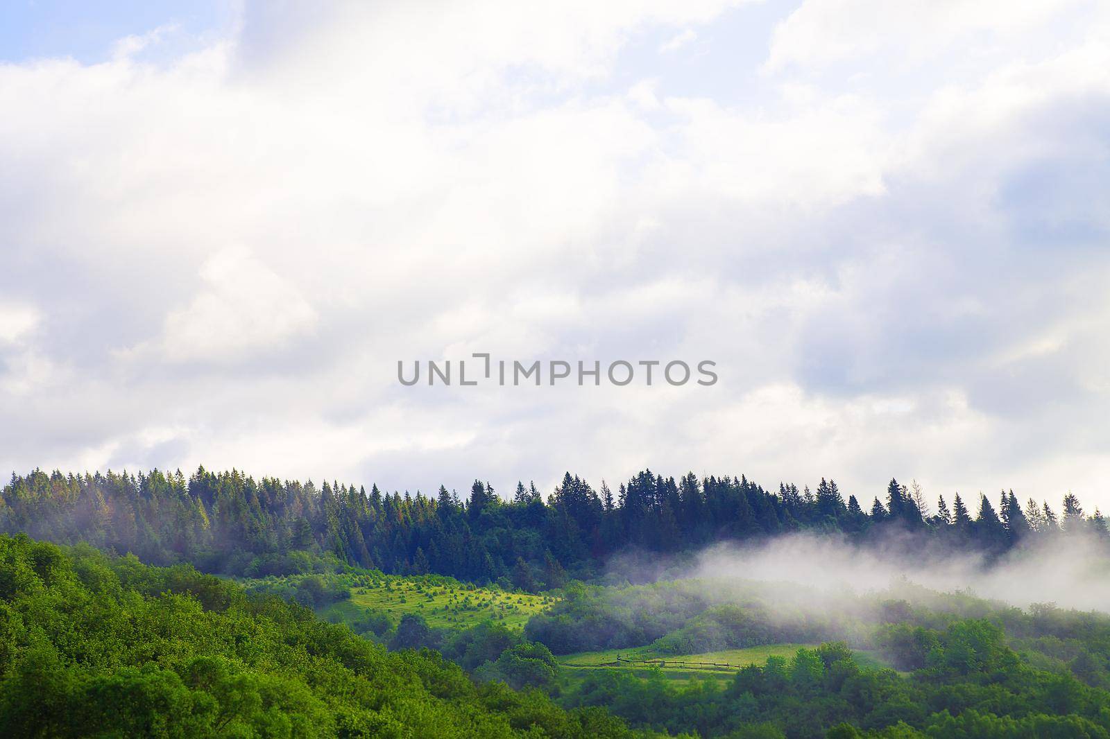 morning landscape with fog Carpathian Mountains in Ukraine.