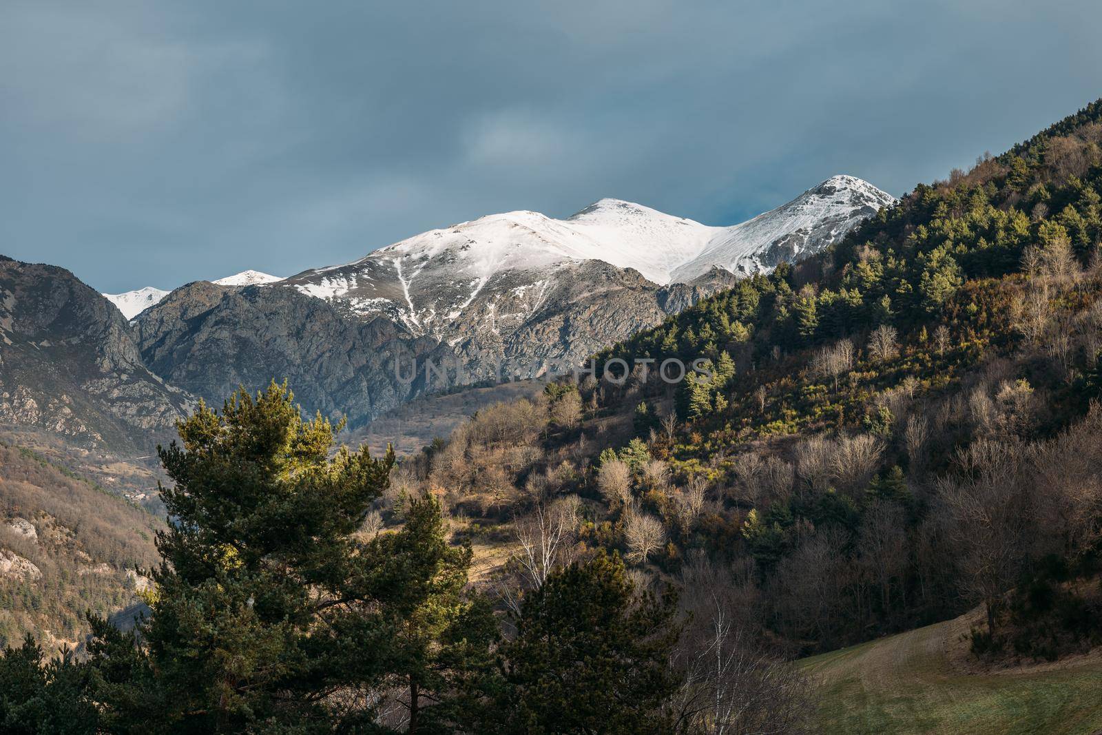 Wonderful mountain landscape in valley with green forest lighted with morning sun on background of snowy Pyrenees in Spain under blue sky