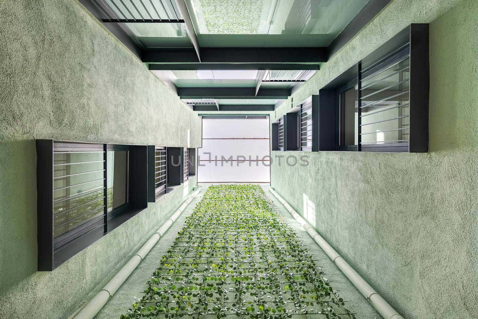 Lookup view of modern residential building with vertical gardening in Barcelona. Asymmetrically placed black windows and green walls