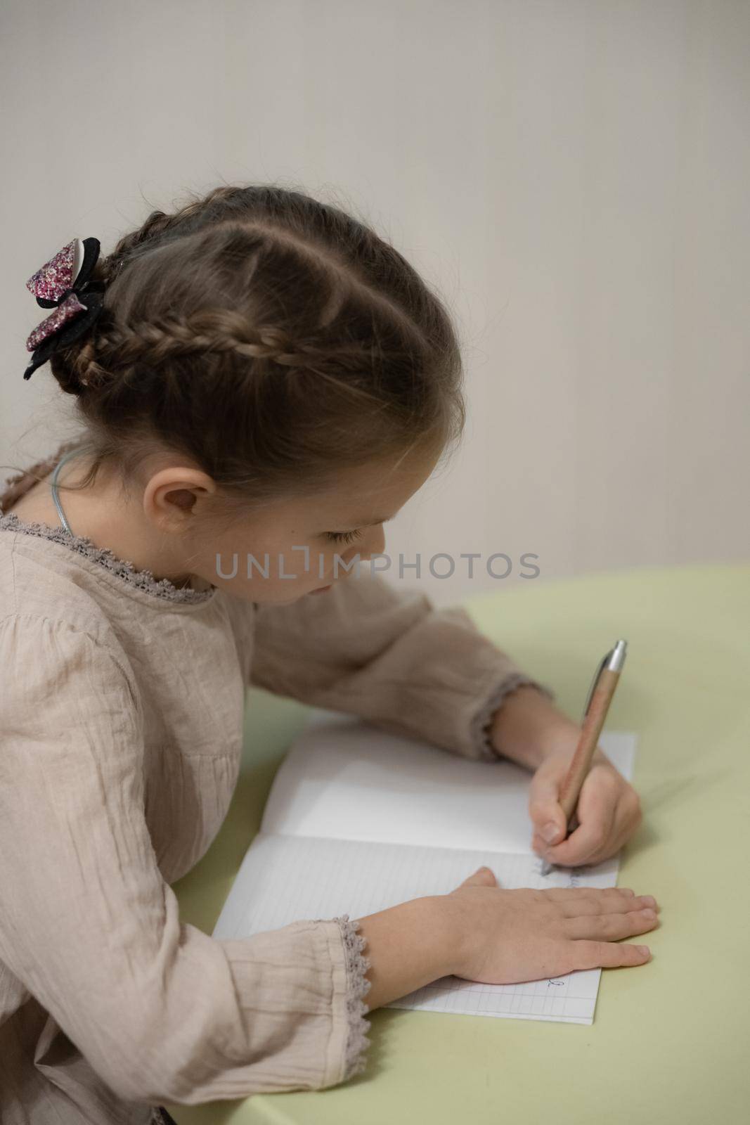 Girl is writing, make homework with beige mini chihuahua at home, white background