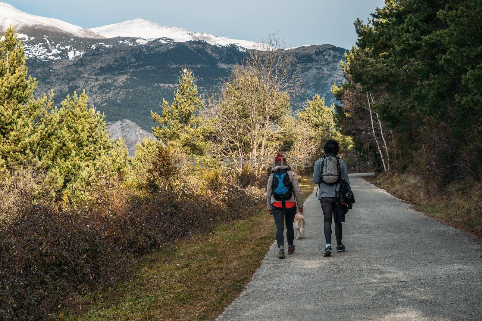 Young couple with backpacks and a dog on the road with snowy mountains at the background. Man and woman during the hiking on sunny day