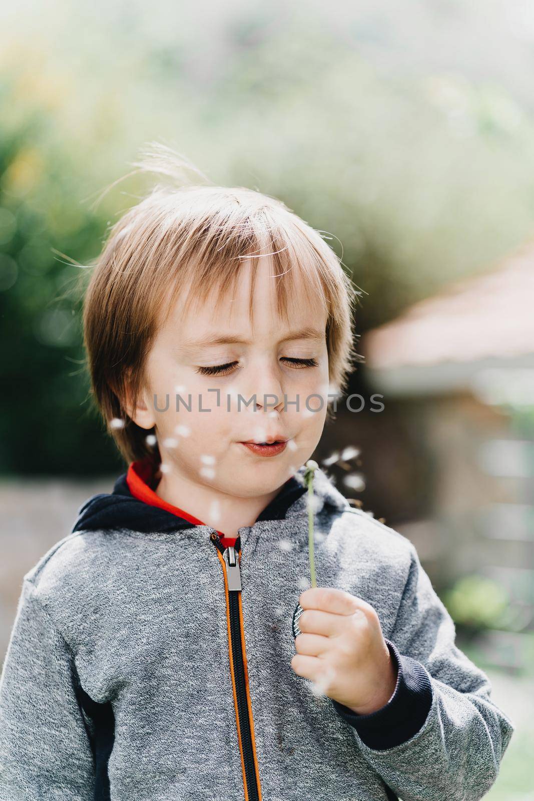 Little boy blows in dandelion on sunlight by Praximon