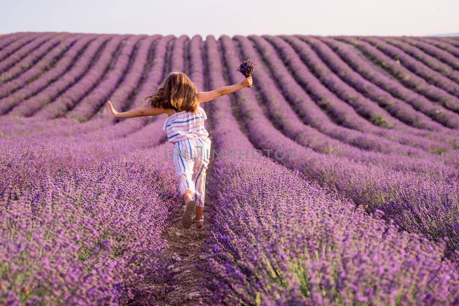 Among the lavender fields. A beautiful girl runs against the background of a large lavender field by Matiunina