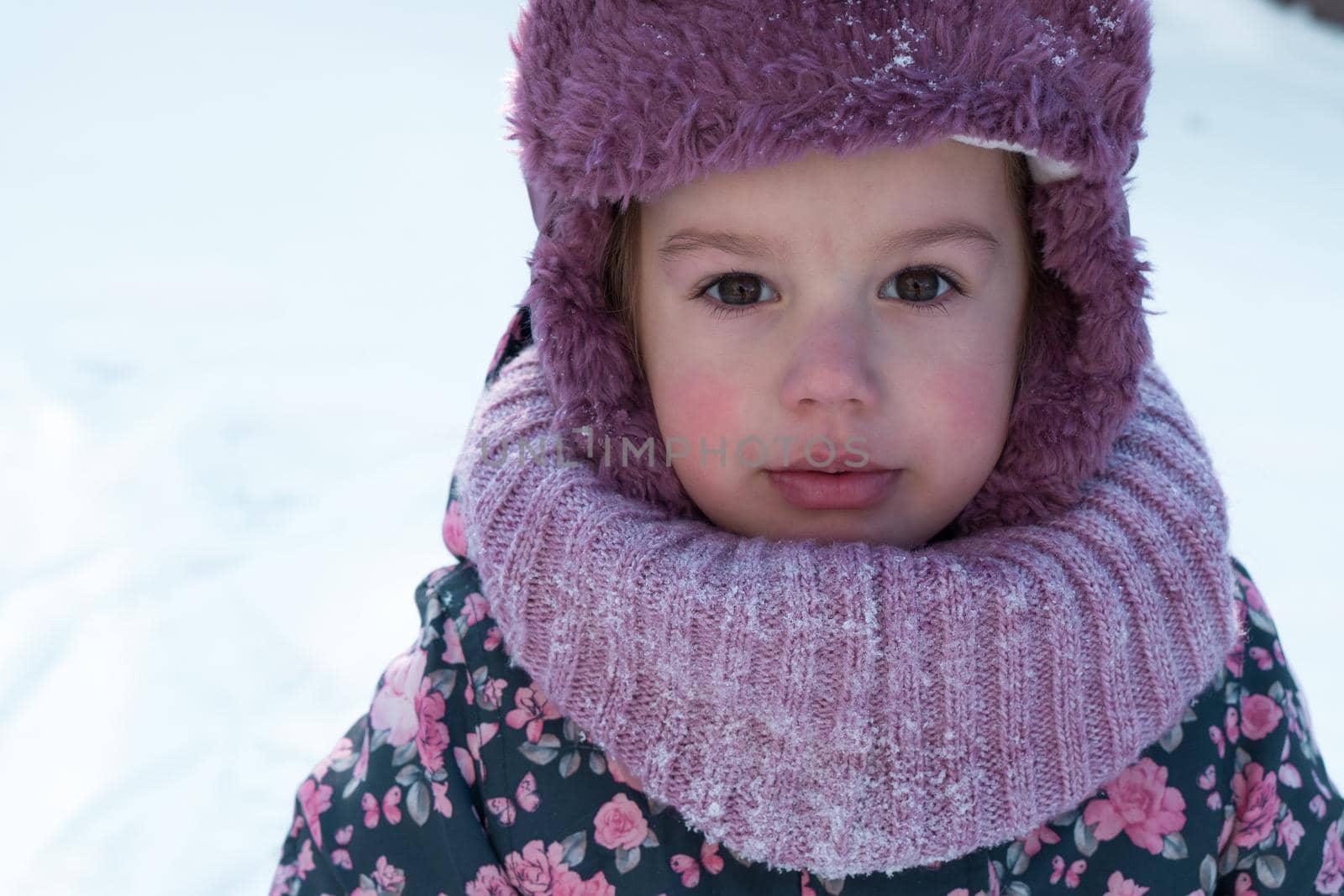 Winter, family, childhood concepts - close-up portrait authentic little preschool minor 3-4 years girl in pink hat look at camera posing smile in snowy frosty weather. happy kid face have fun outdoors by mytrykau