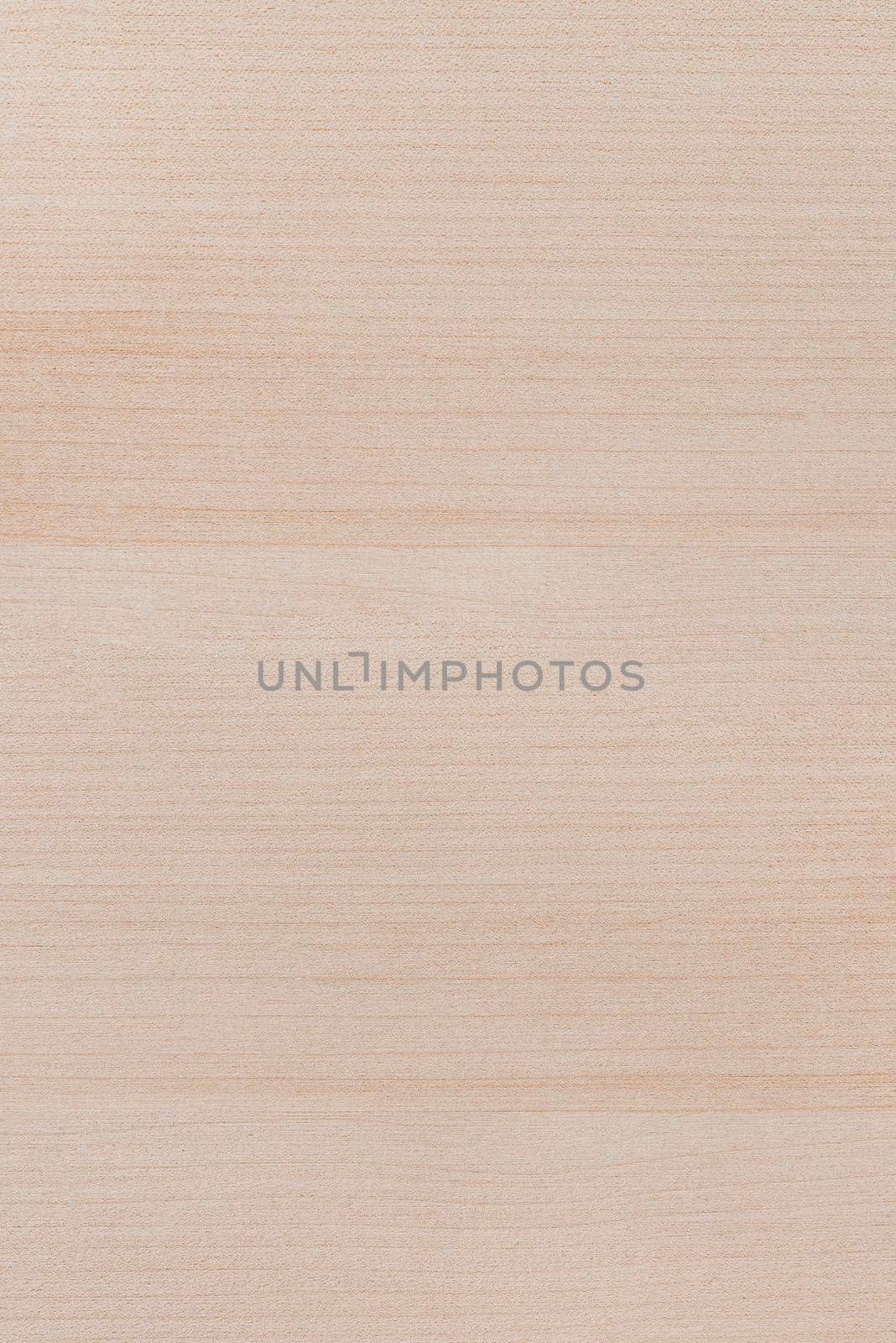 The texture of a wooden board. Background and texture of light wood. Natural birch wood close-up. Unpainted floor in natural shades.