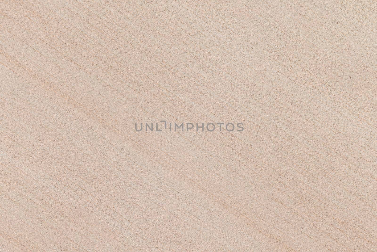 The texture of the birch board. Background and texture of light wood. Board of natural wood close-up. by SERSOL