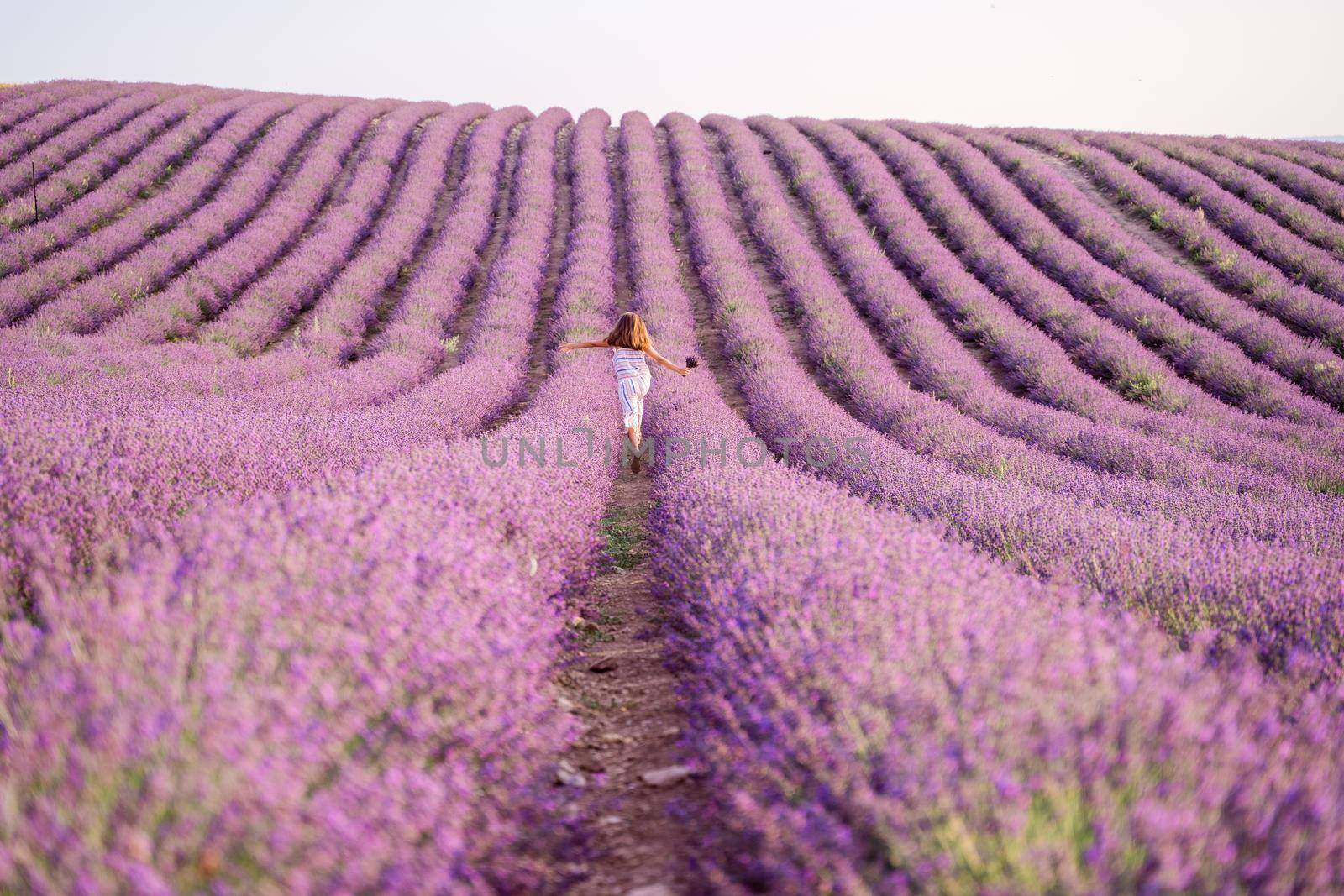 Among the lavender fields. A beautiful girl runs against the background of a large lavender field by Matiunina