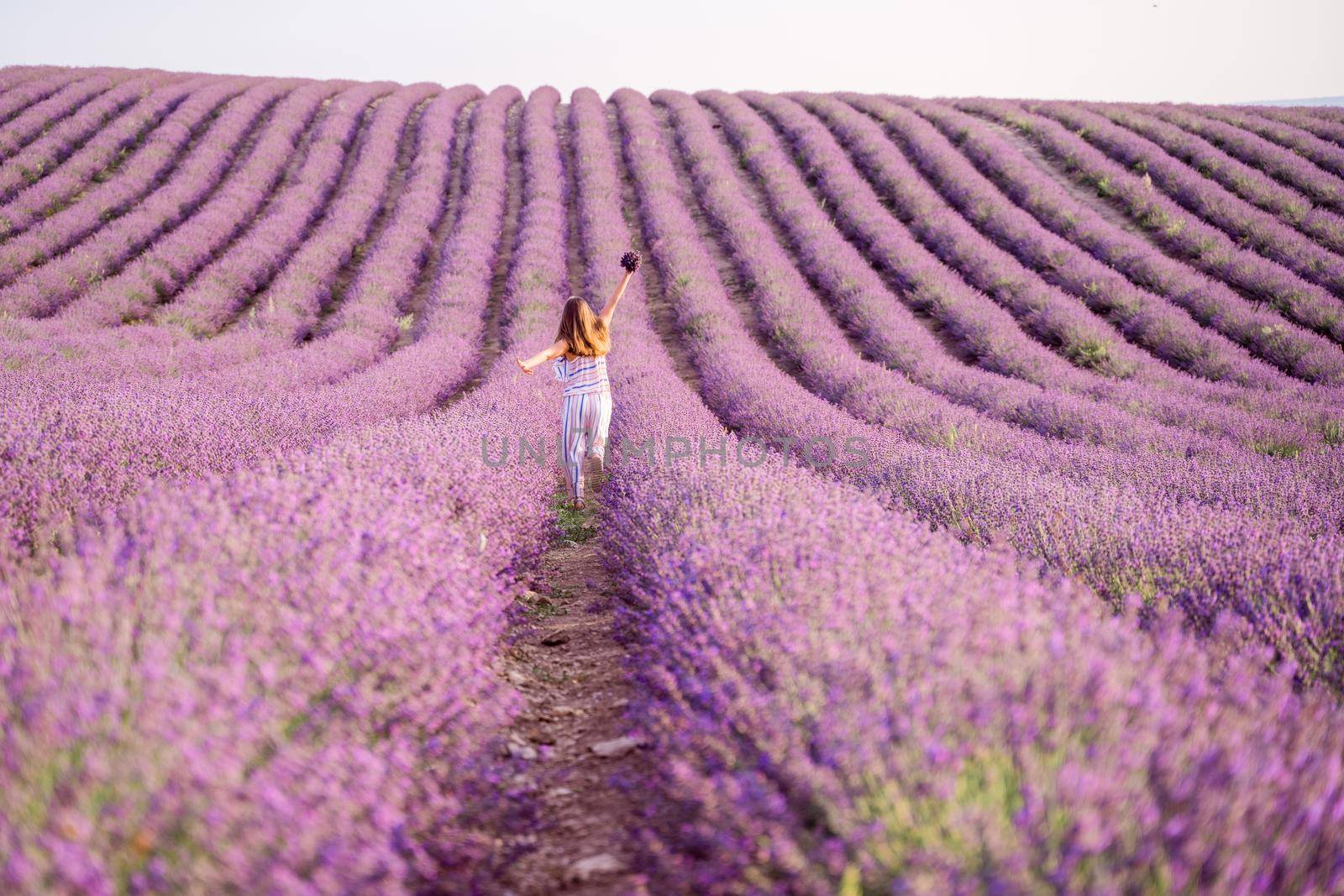 Among the lavender fields. A beautiful girl runs against the background of a large lavender field.