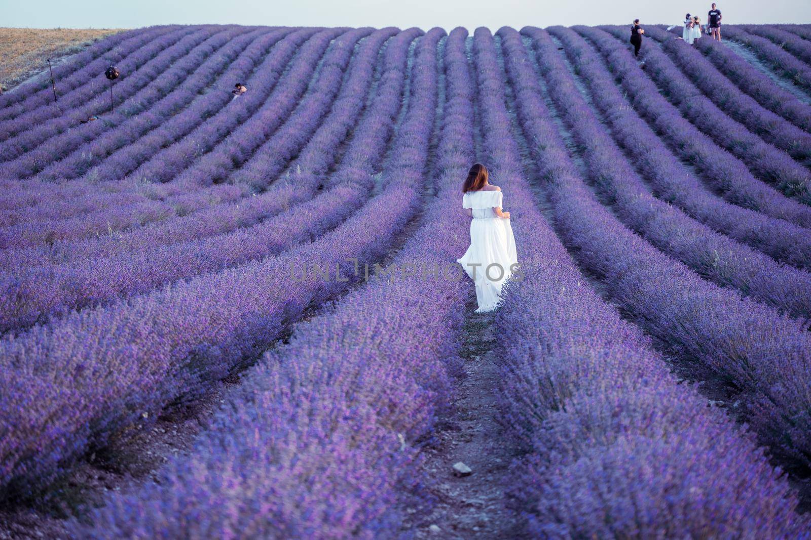 Among the lavender fields. A beautiful girl runs against the background of a large lavender field.