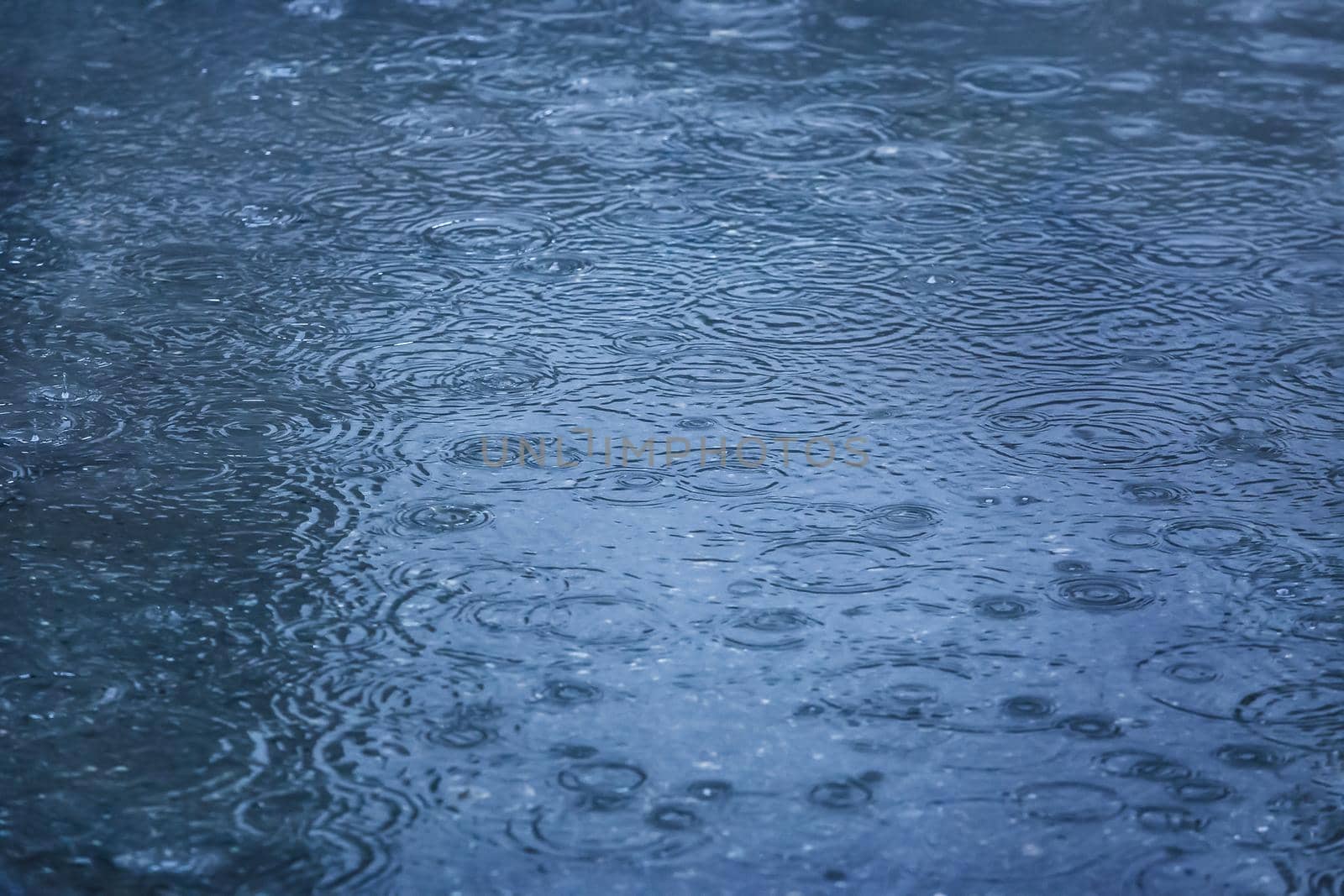 rain drops falling in pool on asphalt