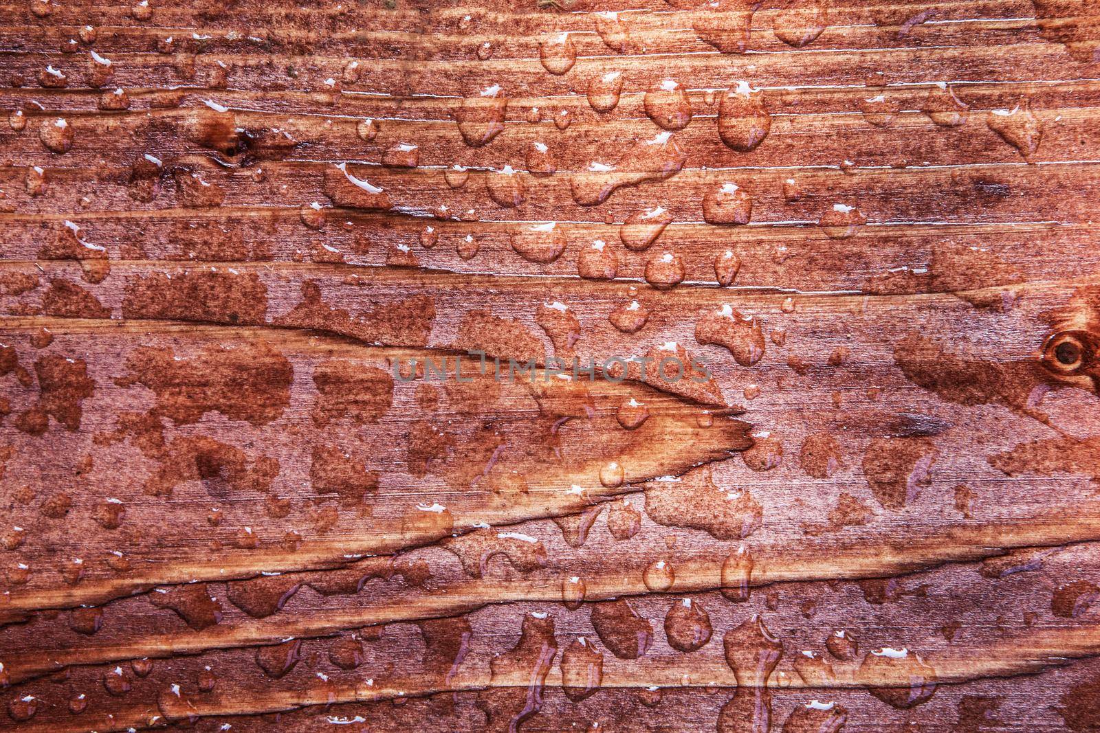 Water Drops on Wooden Board closeup