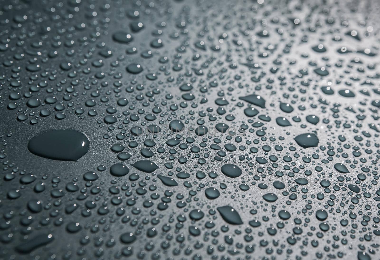 water drops on gray background close-up