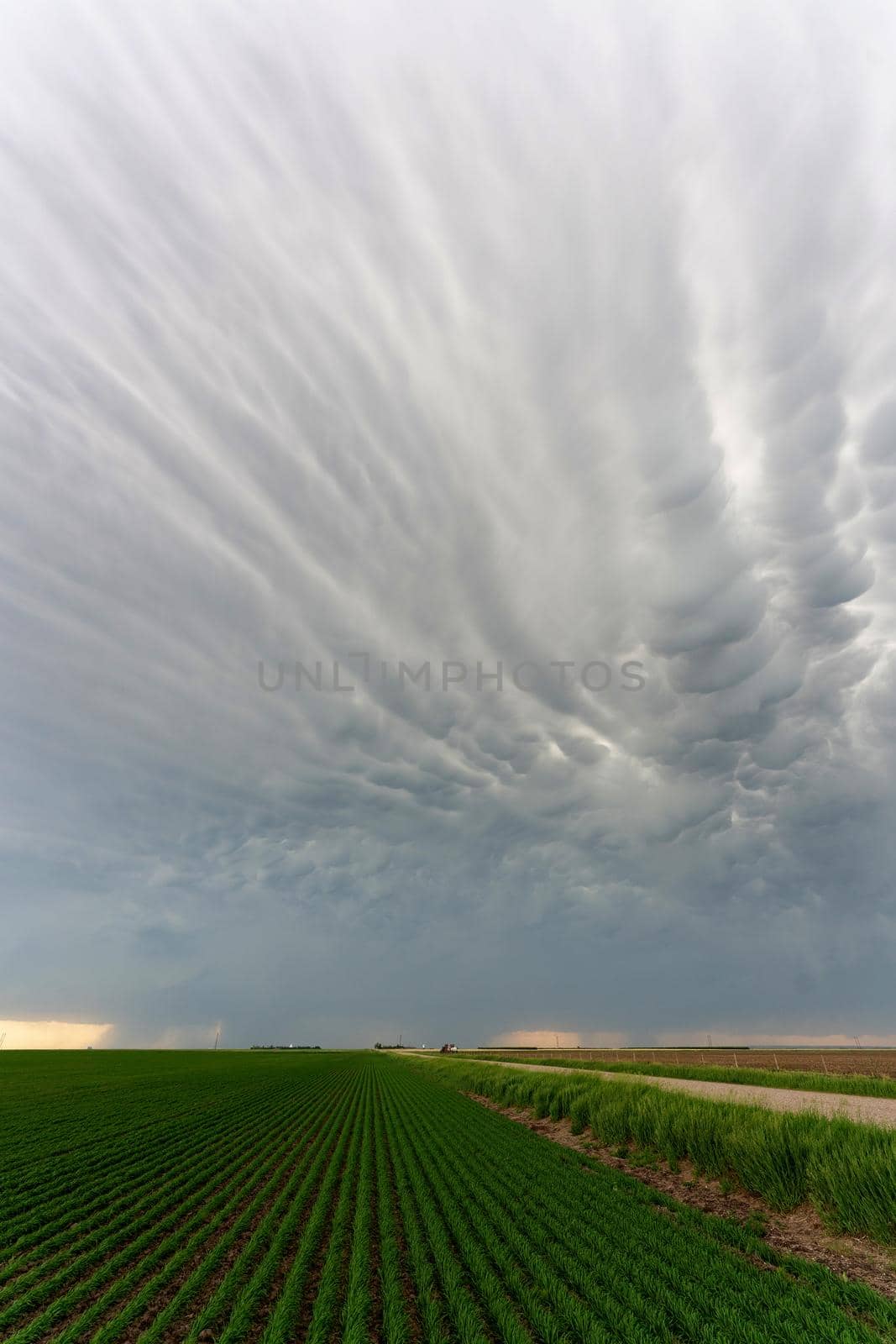 Prairie Storm Clouds mammatus by pictureguy