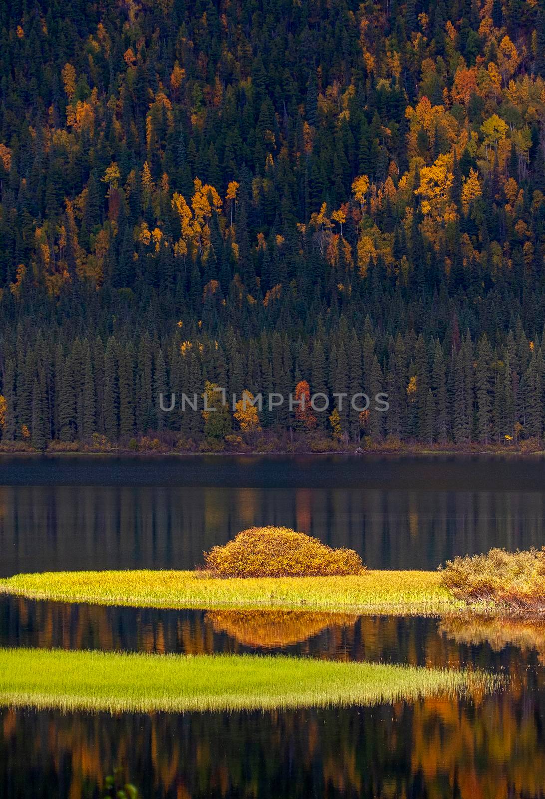 Northern Lake Yukon Canada Autumn Colors Wilderness