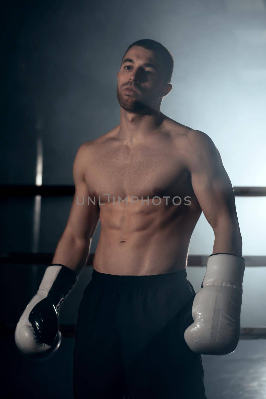 Confident boxer standing in pose, ready to fight. High quality photo