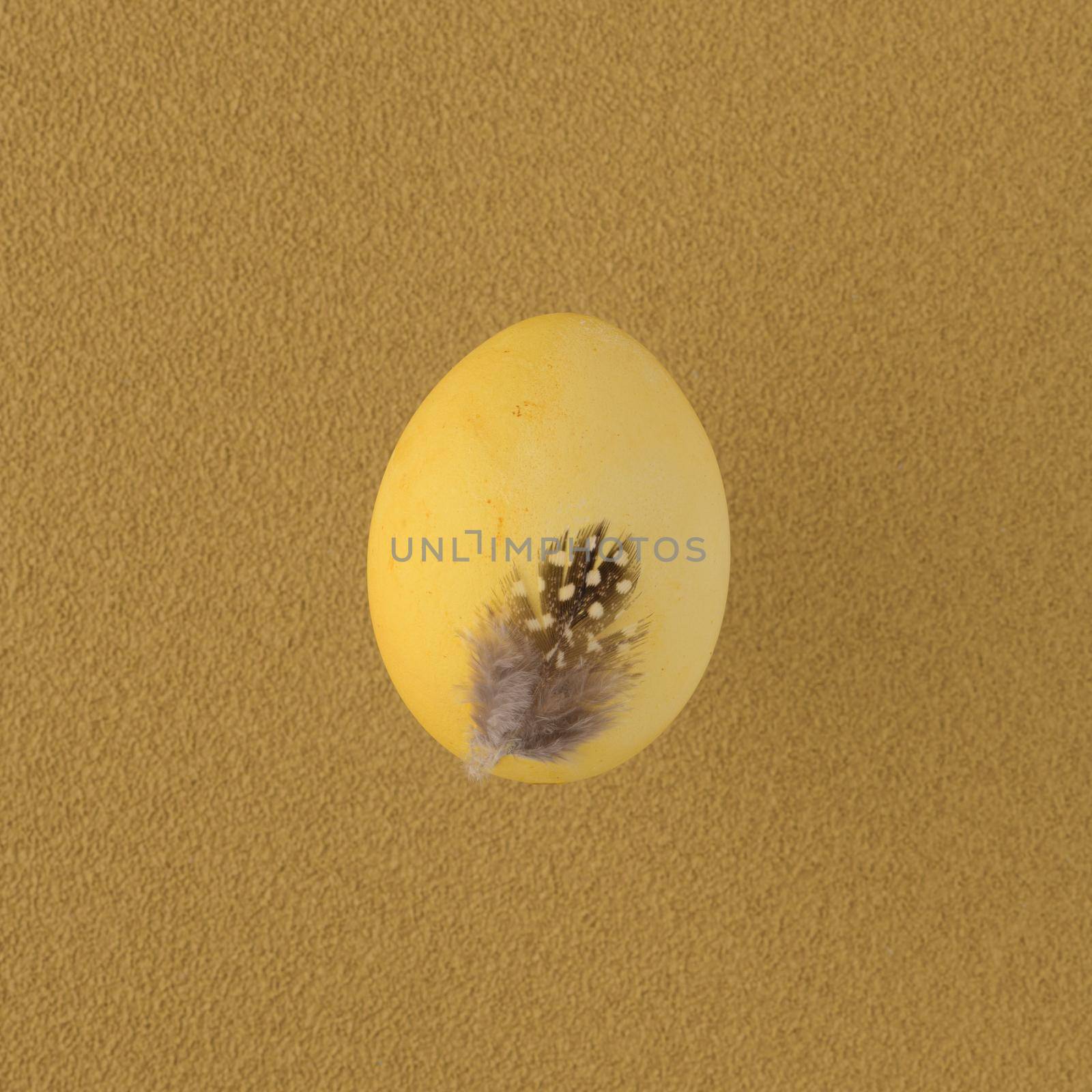 Yellow egg by homydesign
