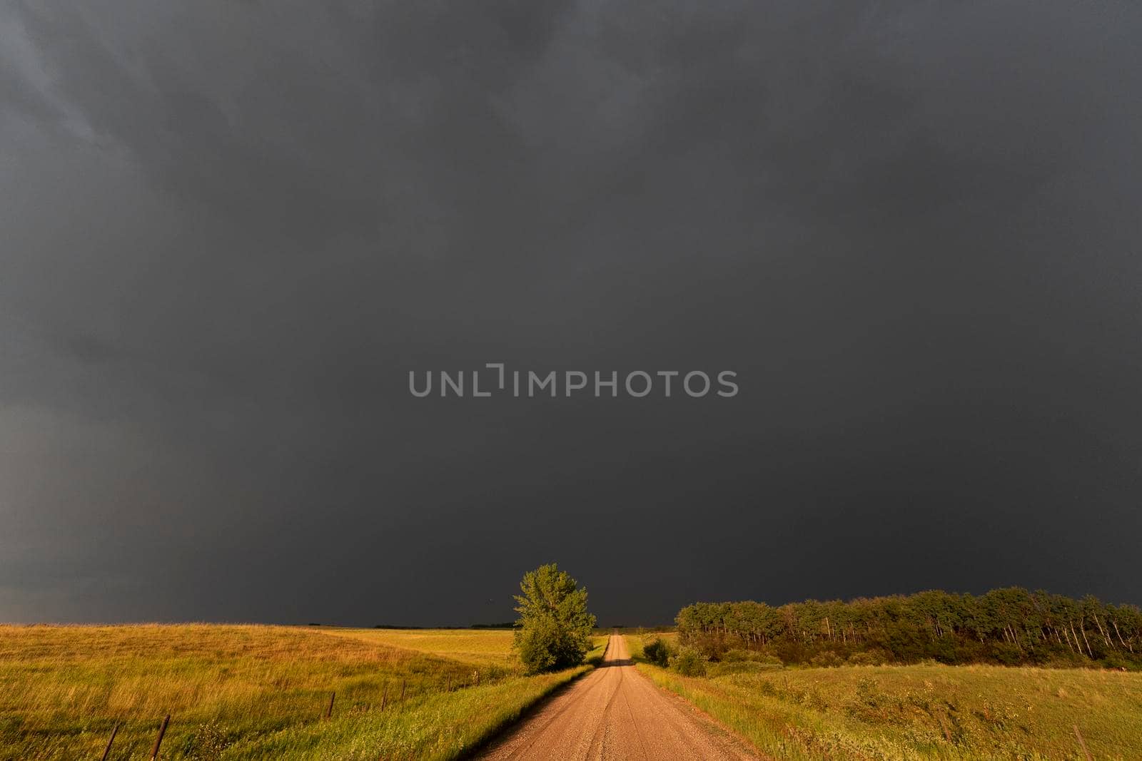 Prairie Storm Canada in Saskatchewan Summer Clouds