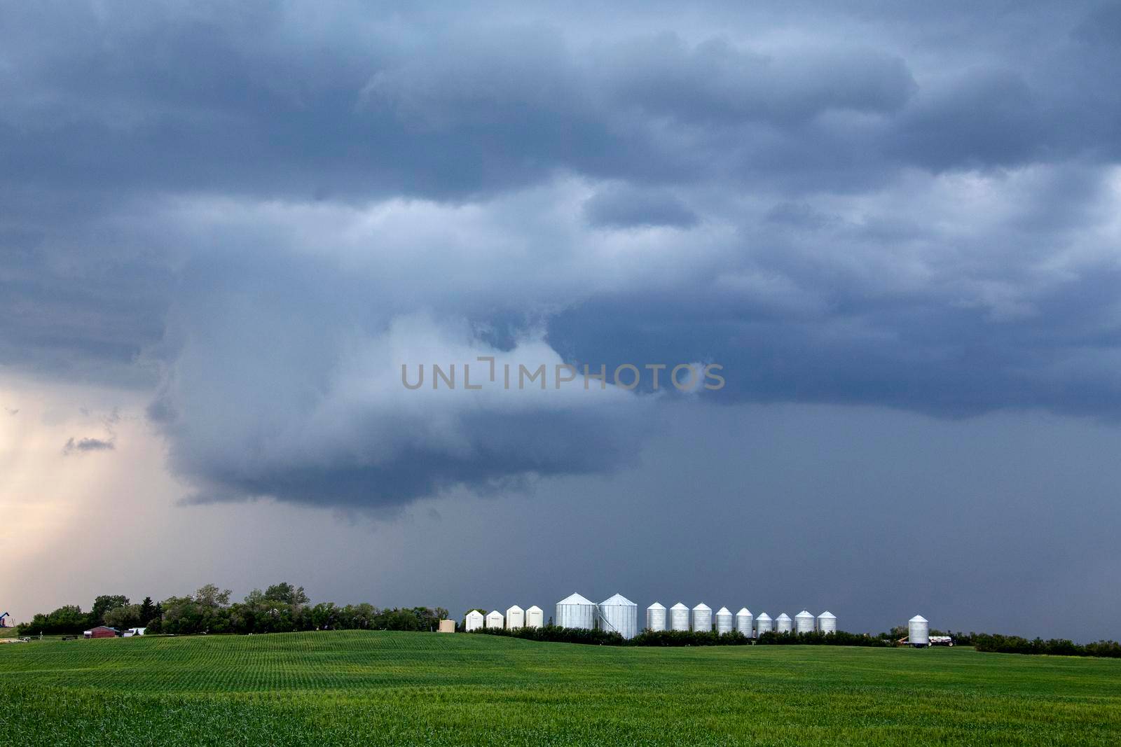 Prairie Storm Canada in Saskatchewan Summer Clouds