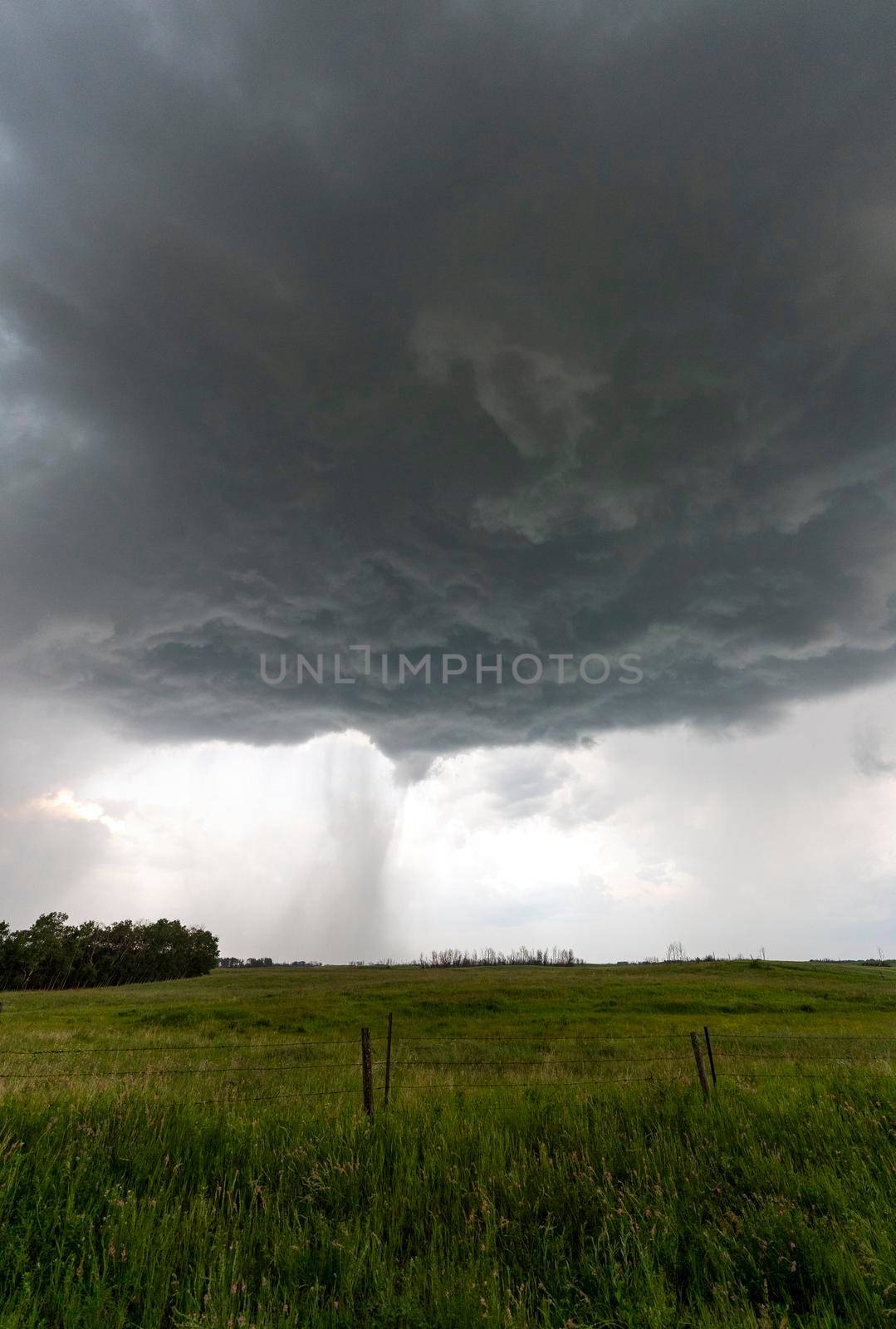 Prairie Storm Canada in Saskatchewan Summer Clouds