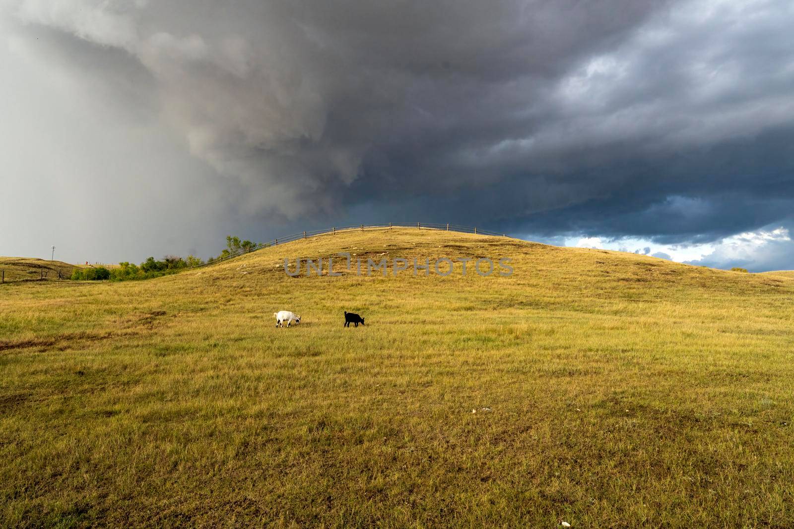 Prairie Storm Canada Summer time clouds warning