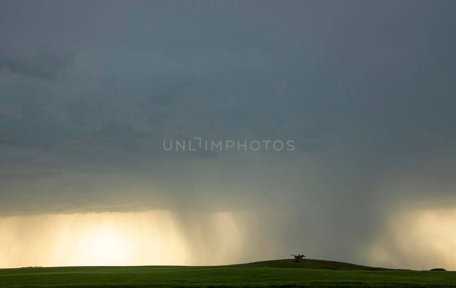 Prairie Storm Canada in Saskatchewan Summer Clouds