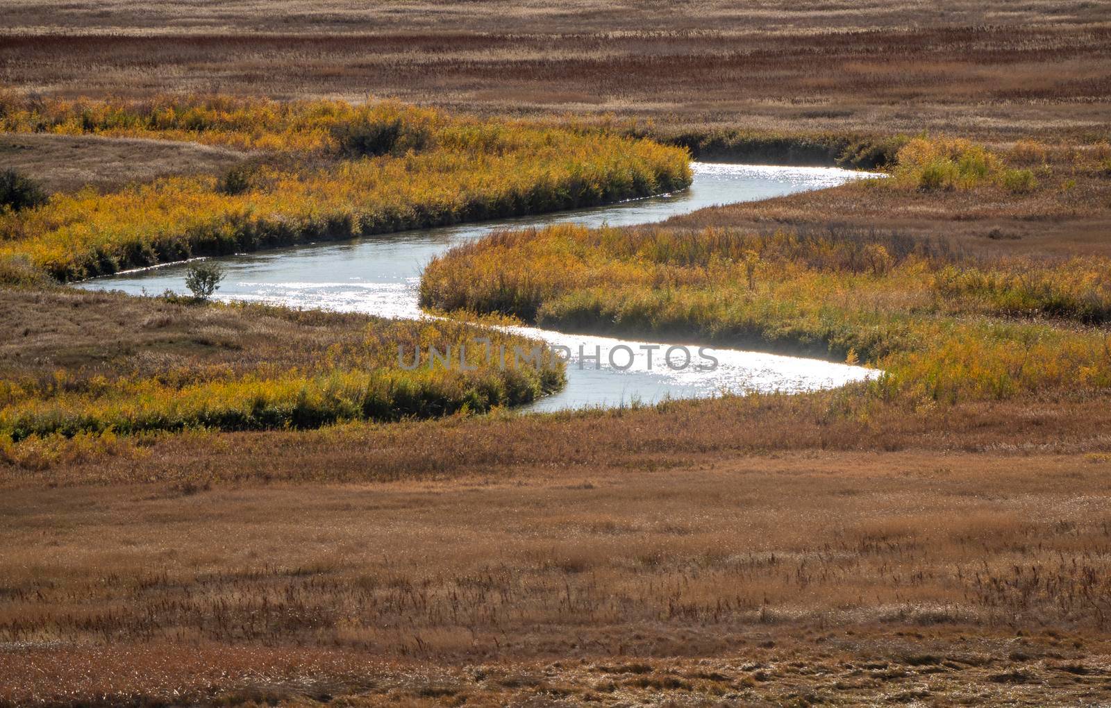 Qu'appelle River near Moose Jaw Saskatchewan Canada