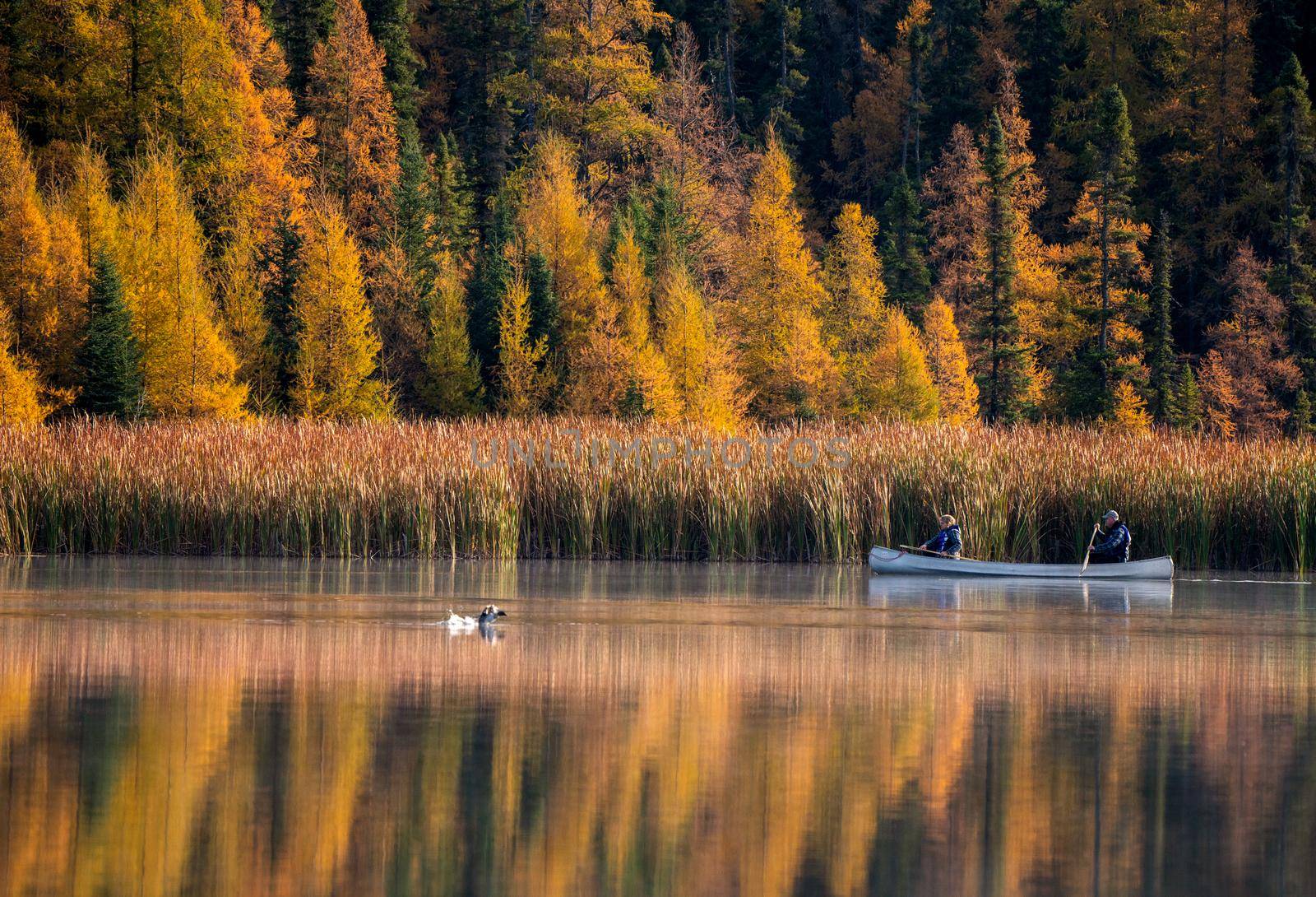 Prairie colors in fall yellow orange trees canoe calm