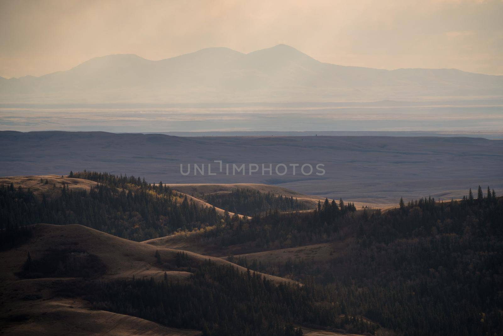 Cypress Hills Canada by pictureguy