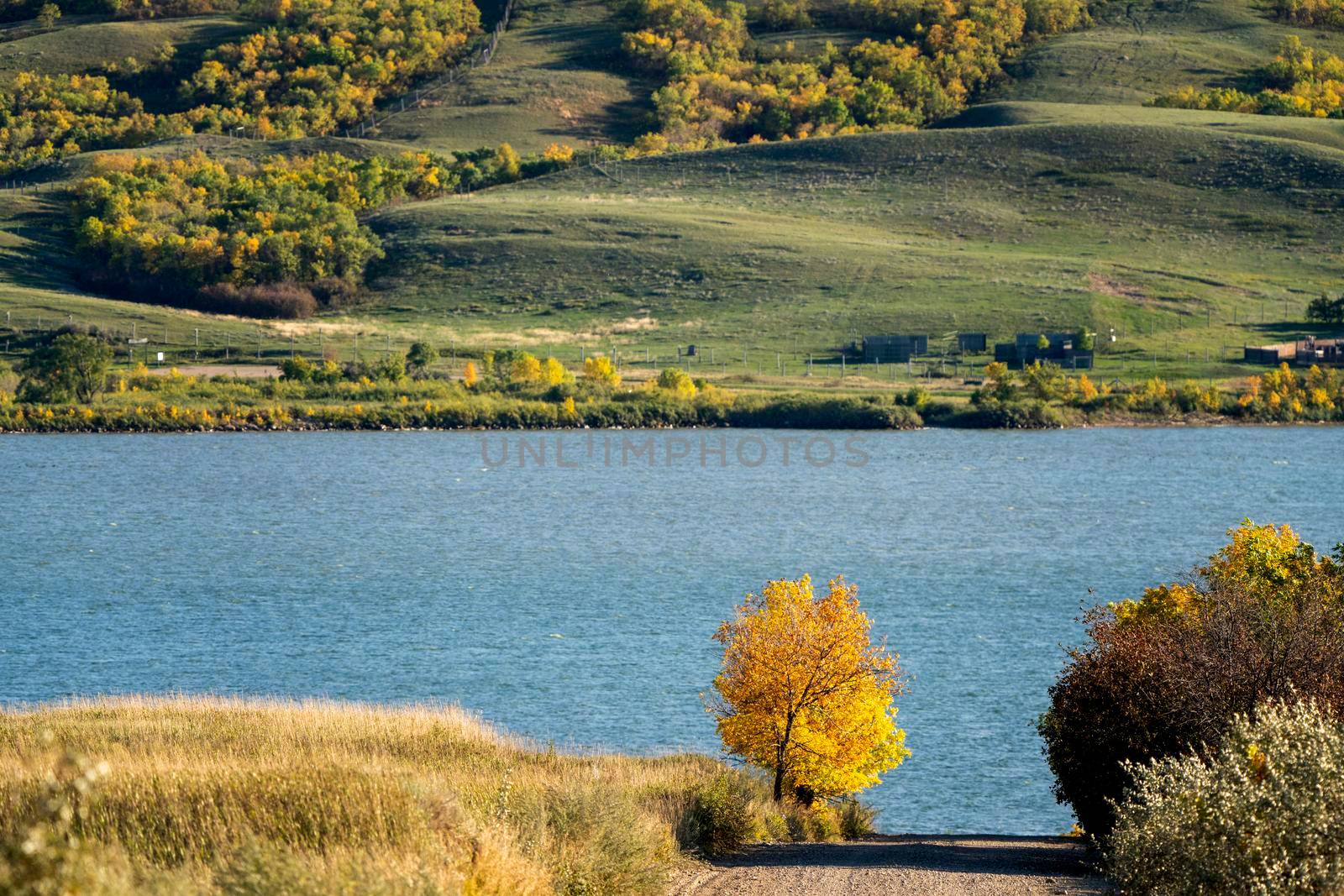 Prairie colors in fall yellow orange trees colorful