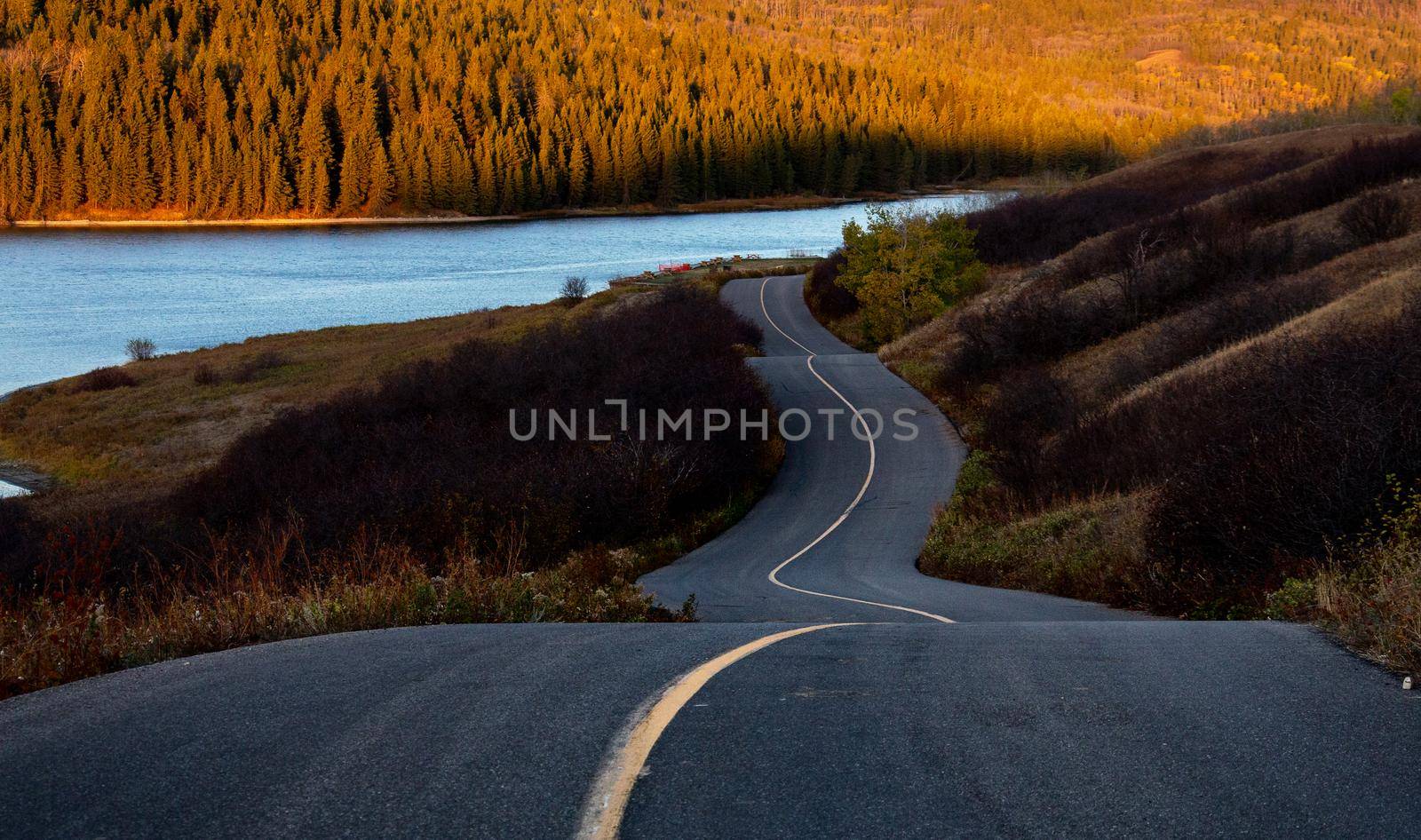 Cypress Hills Canada by pictureguy