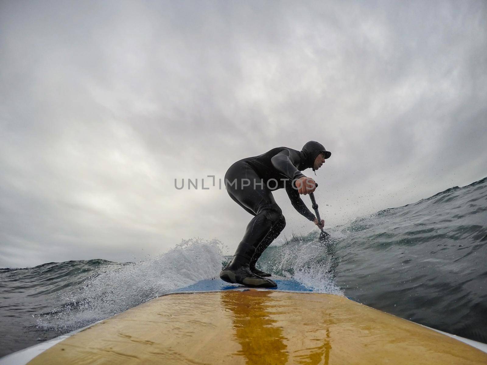 Surfer catching the wave in the ocean.