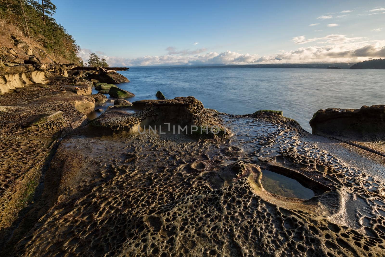 Nature landscape view on a rocky shore during a sunny winter day. Picture taken in Hornby Island, British Columbia, Canada.