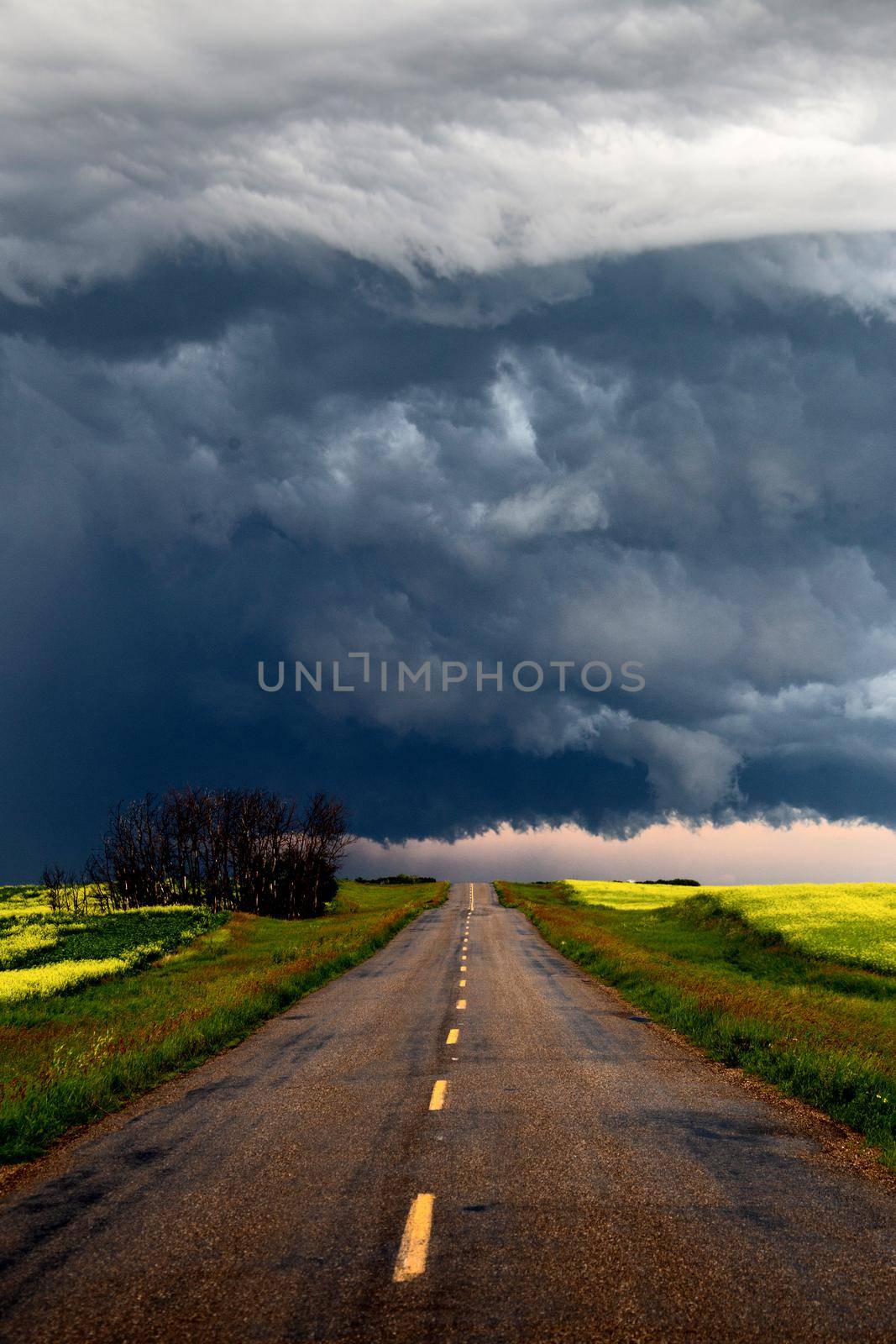 Prairie Storm Clouds Canada Saskatchewan Dramatic Summer