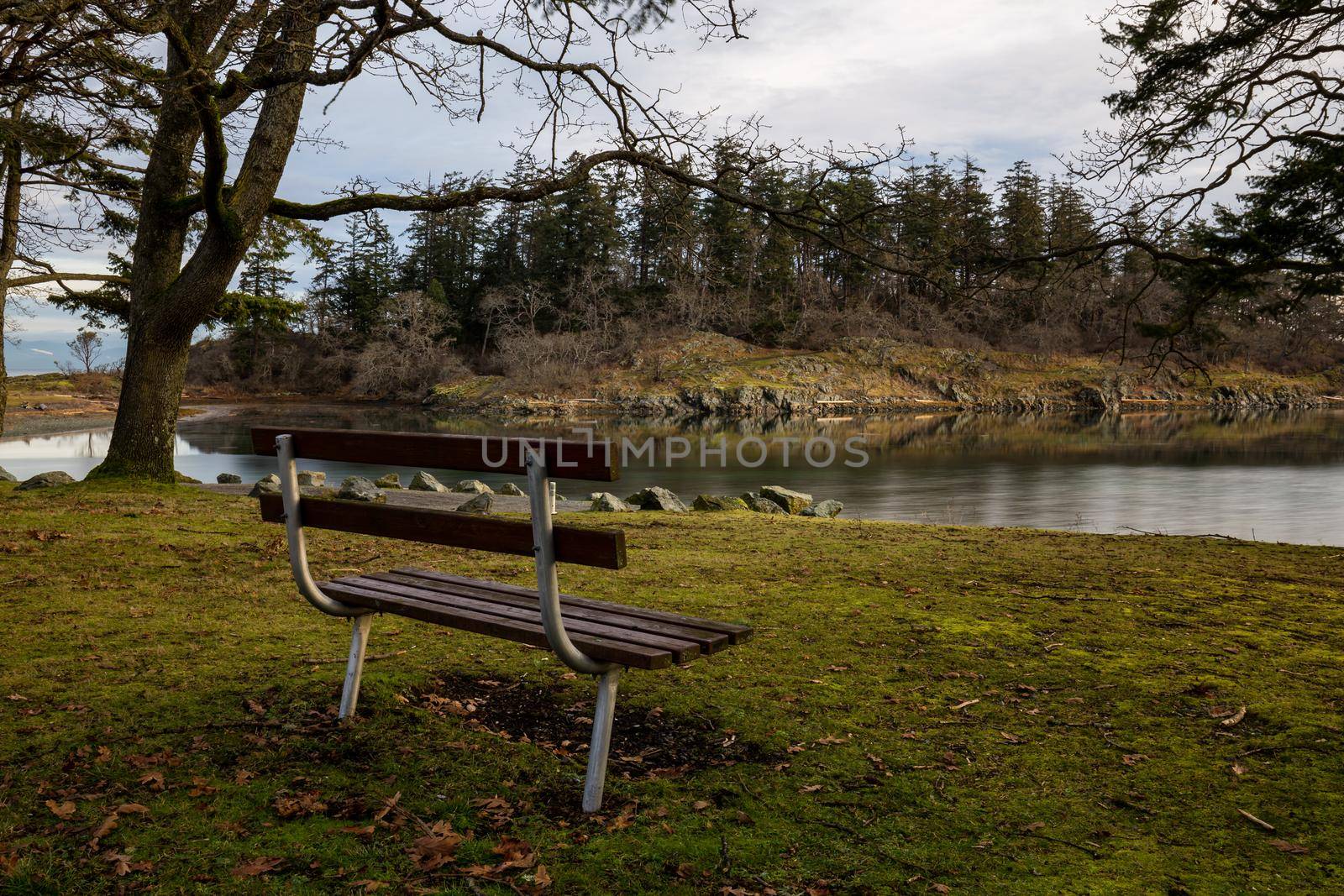 Bench in the nature surrounded by trees with a beautiful view. Picture taken in Pipers Lagoon Park, Nanaimo, Vancouver Island, BC, Canada, during a winter morning.