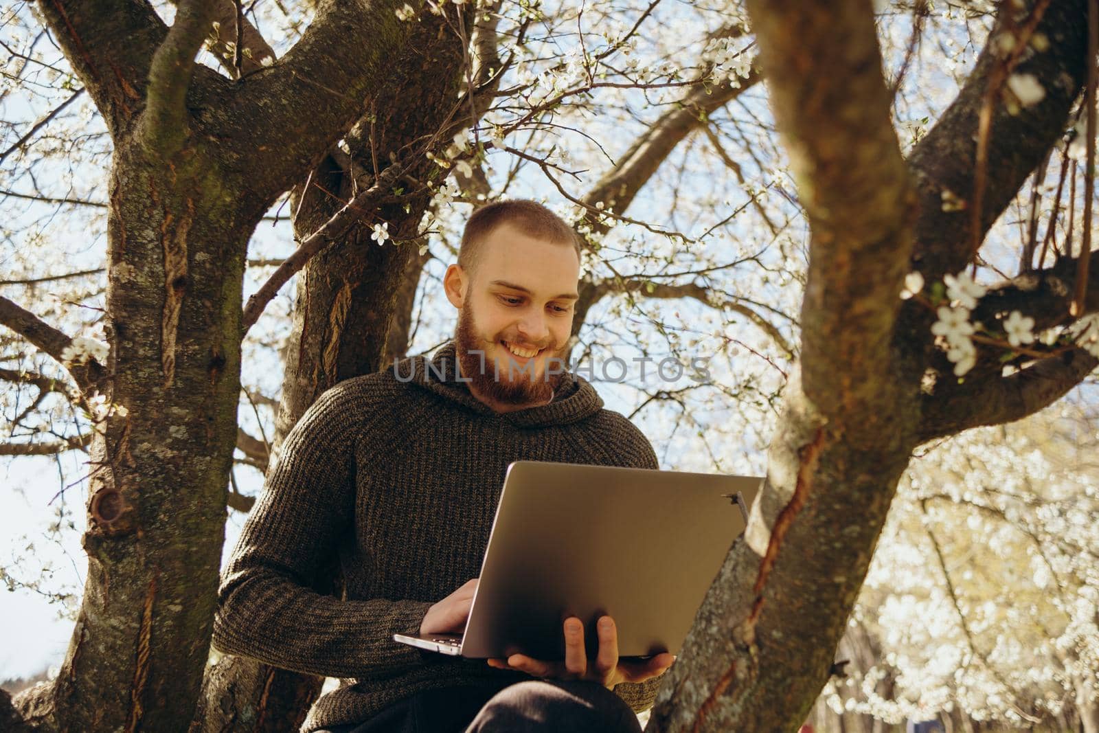 Young man using and typing laptop computer in summer grass. by Symonenko