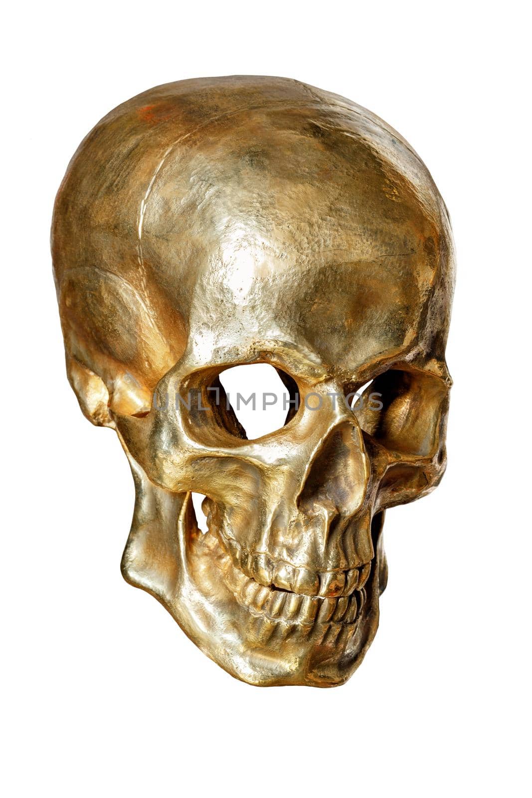 The skeleton of a human skull is painted with gold paint, isolated on a white background, close-up.