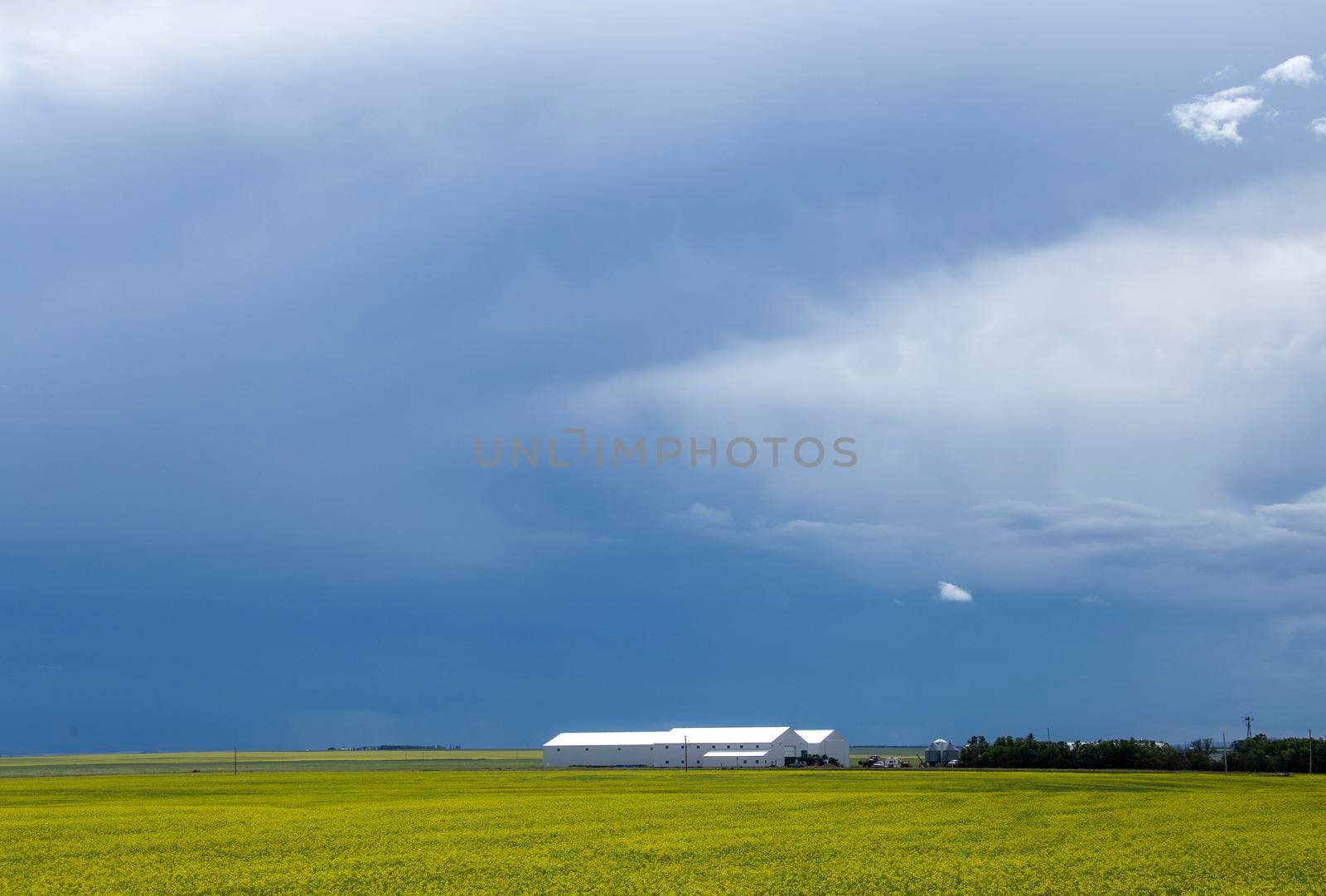 Prairie Storm Clouds Canada by pictureguy