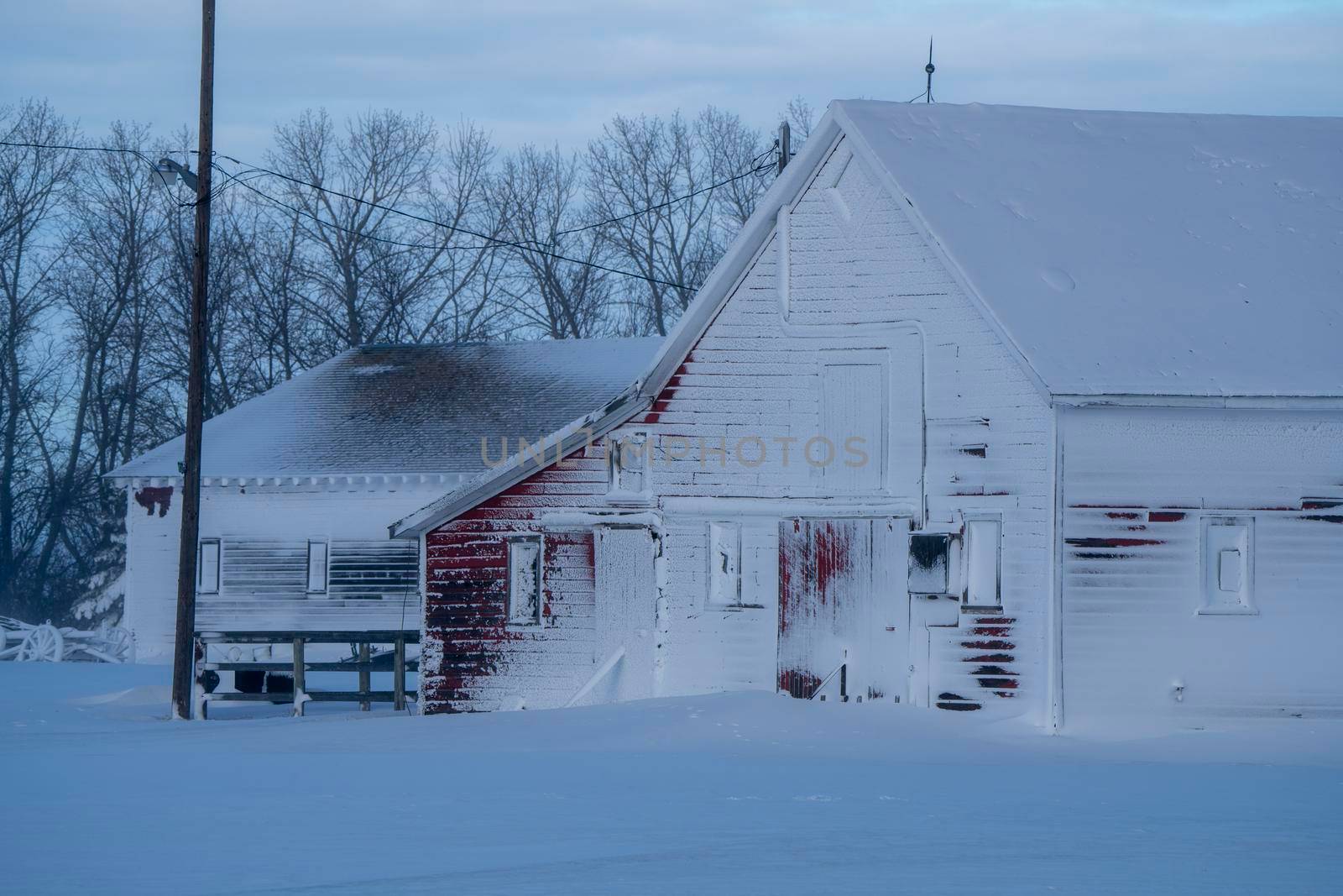 Prairie Winter Scene by pictureguy